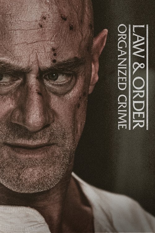 Law & Order Organized Crime : 3.Sezon 2.Bölüm