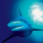 The Blue Planet : 1.Sezon 3.Bölüm izle
