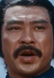 龍飛