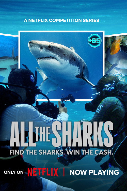All the Sharks : 1.Sezon 2.Bölüm