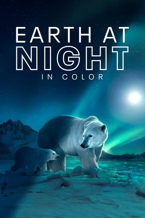 Earth at Night in Colour : 2.Sezon 4.Bölüm
