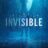 Invisible : 1.Sezon 4.Bölüm izle