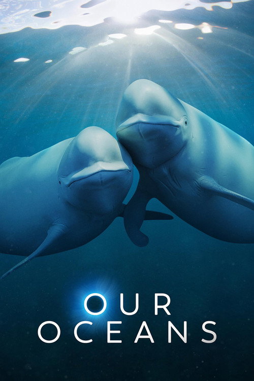 Our Oceans : 1.Sezon 5.Bölüm