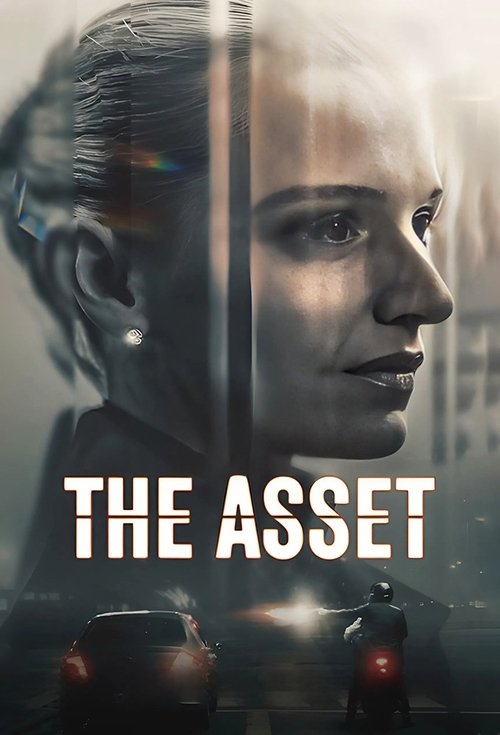 The Asset : 1.Sezon 6.Bölüm