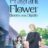 The Fragrant Flower Blooms with Dignity : 1.Sezon 4.Bölüm izle