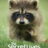 The Secret Lives of Animals : 1.Sezon 3.Bölüm izle