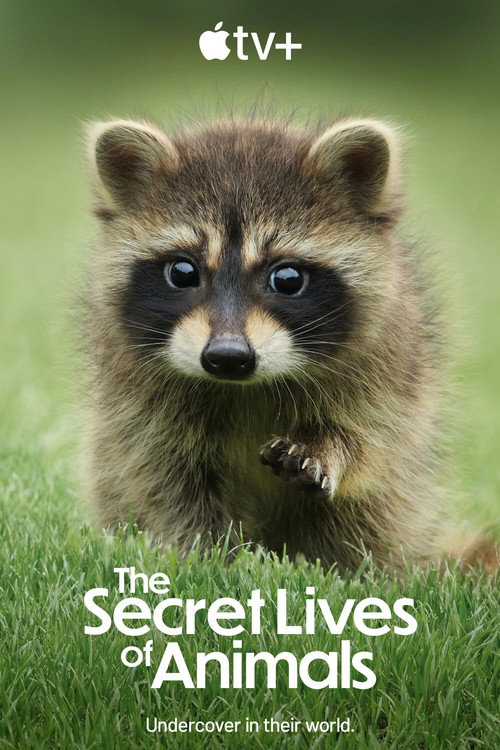The Secret Lives of Animals : 1.Sezon 3.Bölüm