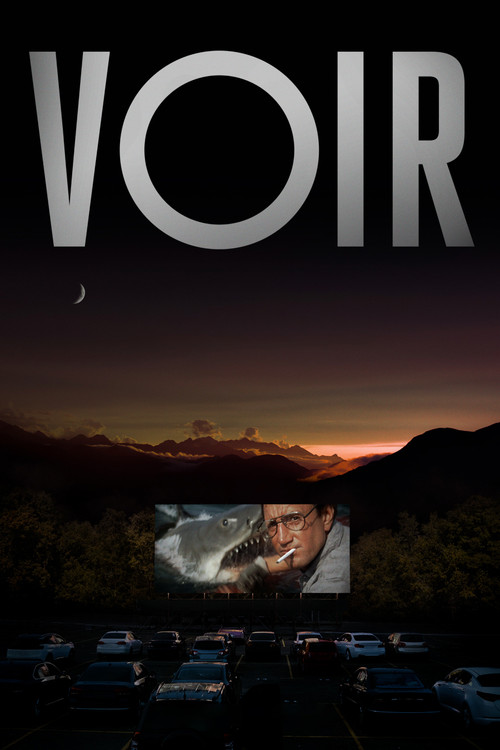 Voir : 1.Sezon 4.Bölüm