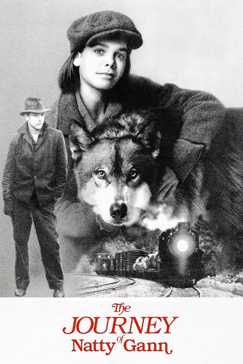 Babamı Arıyorum izle (1985)