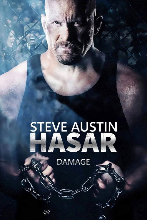 Hasar izle (2009)