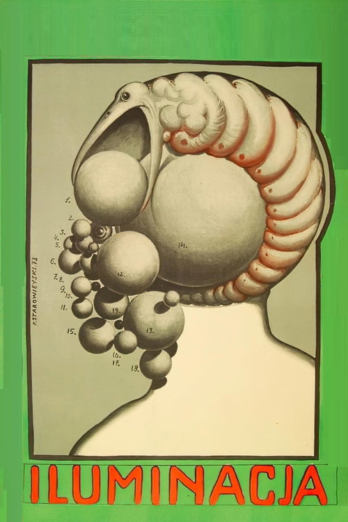 Iluminacja izle (1973)