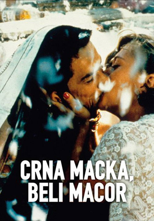 Kara Kedi, Ak Kedi izle (1998)