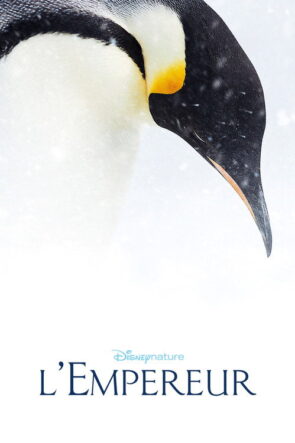 L’empereur izle (2017)