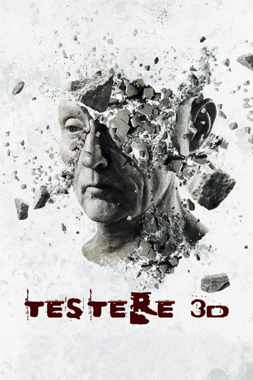 Testere 3D izle (2010)